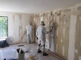 Best Asbestos and Lead Testing During Mold Inspection  in USA